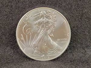 2013 Silver American Eagle Coin - 1oz .999 Fine Silver