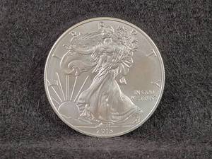 2013 Silver American Eagle Coin - 1oz .999 Fine Silver