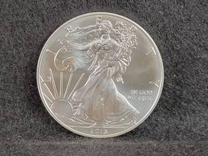 2013 Silver American Eagle Coin - 1oz .999 Fine Silver