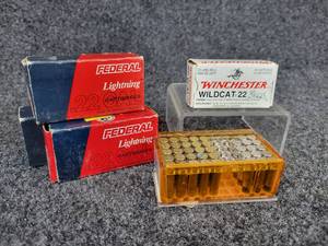 lot 3043 image: 230 Rounds of .22 Long Ammunition