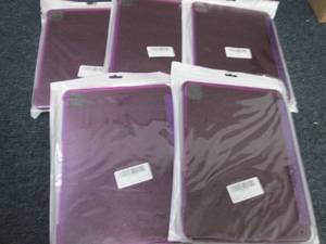 5 iPad Cases...