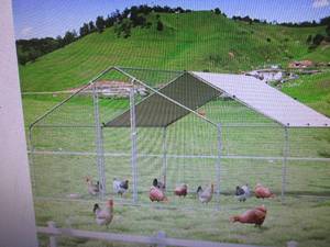 TOOL Large Metal Chicken Coop Galva...