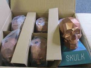 case of 6 new skulk games...