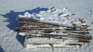 lot 770 image: Pallet Of 4 Foot Heavy Duty Pipe.