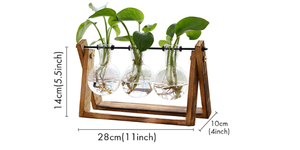 lot 62 image: XXXFLOWER Plant Terrarium with Wooden Stand, Air Planter Bulb Glass Vase Metal Swivel Holder New