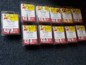 Better Homes  and Gardens Wax Melts...