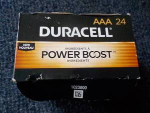 Duracell Power Boost 24 Ct Pkg AAA ...