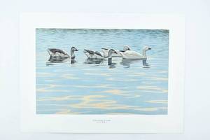 lot 231 image: Gary W. Moss, Offset Print of Birds, Evening Family of Snows