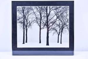 lot 356 image: Harry Callahan Offset Print of Photograph of Trees