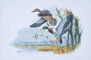 lot 364 image: Don Balke Mallard Ducks Framed Lithograph