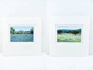 lot 214 image: Set of 2 Matted Photographs by Jim Laser, Blue Flower Meadow, and Meadow