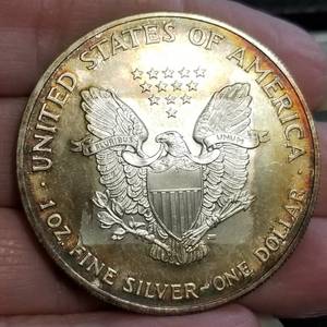 2004 AMERICAN SILVER EAGLE MOTTLED ALBUM TONING