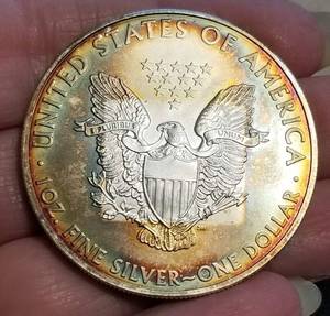 2008 AMERICAN SILVER EAGLE ALBUM TONED