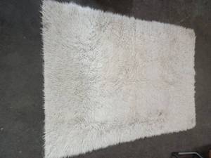 Area Rug