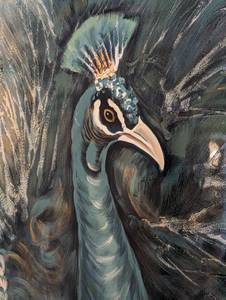 Large Canvas Peacock Print