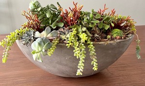 lot 42 image: Large Succulent Centerpiece