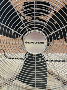 lot 164 image: Fan by King of Fans