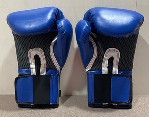 lot 193A image: Everlast 12 oz Boxing Gloves