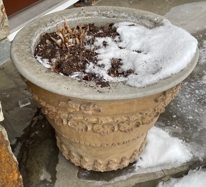 lot 238 image: Cool Cement Planter