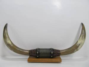 lot 106 image: Western Long Horn Bull Wall Display Rack