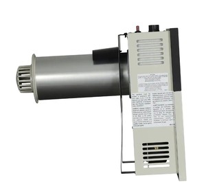 Ashley Hearth Products 11,000 BTU Direct Vent Natural Gas Heater