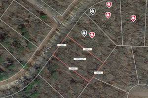 No Reserve 0.44 Acre Buildable Lot in Famous Sylvan Shores
