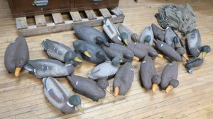 lot 51 image: Duck Decoys