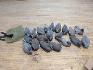 lot 55 image: Duck Decoys