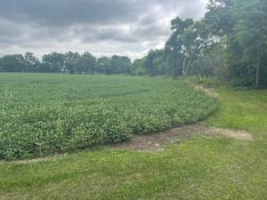 13 Acre Lot Woodstock MN - No Address