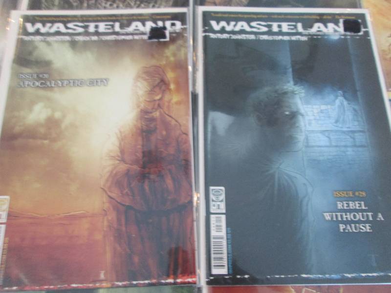 297. 10 WasteLand Comic Books...