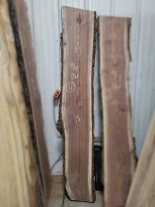 lot 11 image: BLACK WALNUT Live Edge Slab - Thickness 2-34 x 83 x 15 Max Width - Kiln Dried and Surfaced