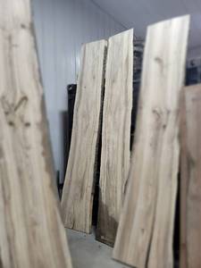 lot 13 image: Book Match HACKBERRY Live Edge Slabs - Thickness 2-14 x 130 x 47 Width Max Combined - Kiln Dried and Surfaced