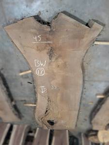 lot 17 image: BLACK WALNUT Live Edge Slab - Thickness 2-34 x 100 x 45 Max Width - Kiln Dried