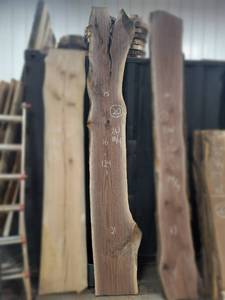 lot 20 image: BLACK WALNUT Live Edge Slab - Thickness 2-12 x 124 x 21 Max Width - Kiln Dried and Surfaced