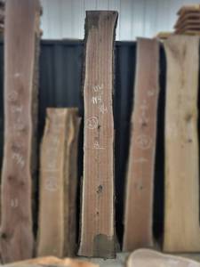 lot 23 image: BLACK WALNUT Live Edge Slab - Thickness 2 x 114 x 14 Max Width - Kiln Dried and Surfaced