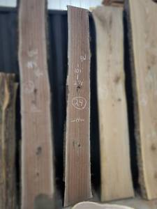 lot 24 image: BLACK WALNUT Live Edge Slab - Thickness 2-14 x 101 x 14 Max Width - Kiln Dried and Surfaced