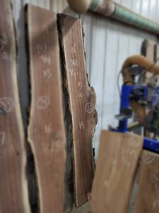 lot 35 image: BLACK WALNUT Live Edge Slab - Thickness 2-14 x 83 x 16 Max Width - Kiln Dried and Surfaced