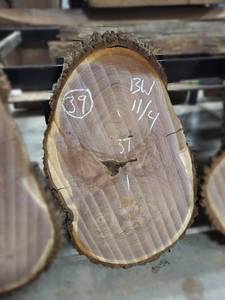 lot 39 image: BLACK WALNUT Live Edge Slice - Thickness 2-34 x 37 x 23 Max Width - Kiln Dried and Surfaced