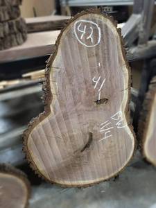 lot 42 image: BLACK WALNUT Live Edge Slice - Thickness 2-34 x 41 x 27 Max Width - Kiln Dried and Surfaced