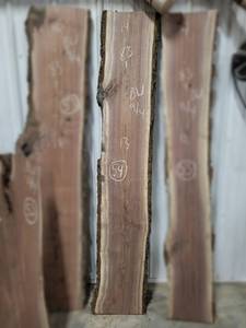 BLACK WALNUT Live Edge Slab - Thickness 2-14 x 83 x 14 Max Width - Kiln Dried and Surfaced