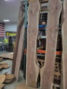 BLACK WALNUT Live Edge Slab - Thickness 2 x 120 x 19 Max Width - Kiln Dried and Surfaced