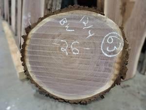 BLACK WALNUT Live Edge Slice - Thickness 3 x 26 Diameter - Kiln Dried and Surfaced