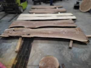 BLACK WALNUT Live Edge Slab - Thickness 2 x 116 x 33 Max Width - Kiln Dried and Surfaced