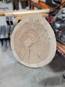 MONKEYPOD Live Edge Slice - Thickness 2 x 33 x 30 x Kiln Dried and Surfaced