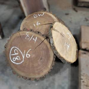 (5) BLACK WALNUT Live Edge Slices - Thickness 2 x 16  Diameter - Kiln Dried and Surfaced