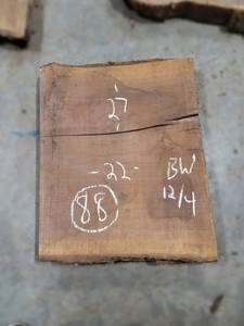 BLACK WALNUT Live Edge Slab - Thickness 3 x 27 x 22 Max Width - Kiln Dried and Surfaced