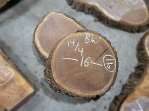 (2) BLACK WALNUT Live Edge Slices - Thickness 3-12 x 16 Diameter - Kiln Dried and Surfaced