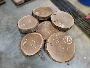(6) BLACK WALNUT Live Edge Slices - Thickness 2-12 to 1-34 x 16 to 17 Diameter - Kiln Dried and Surfaced
