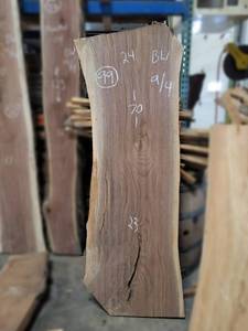 BLACK WALNUT Live Edge Slab - Thickness 2-14 x 70 x 24 Max Width - Kiln Dried and Surfaced