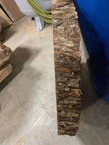 lot 31 image: BLACK WALNUT Live Edge Slice - Thickness 2-12 x 24 x 24 - Kiln Dried and Surfaced